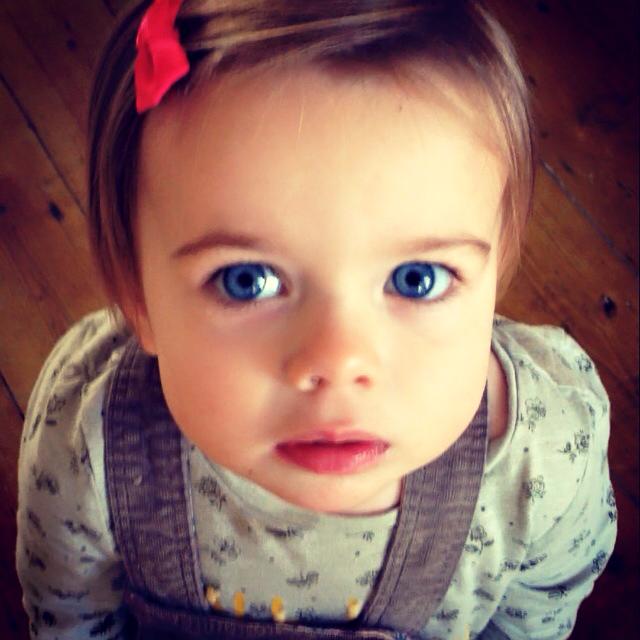 12540944_940251459388243_4764893254790737606_n